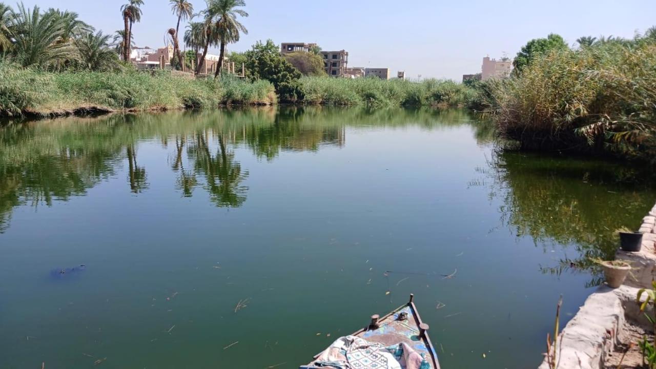 Luxor Old Nile Hotel מראה חיצוני תמונה