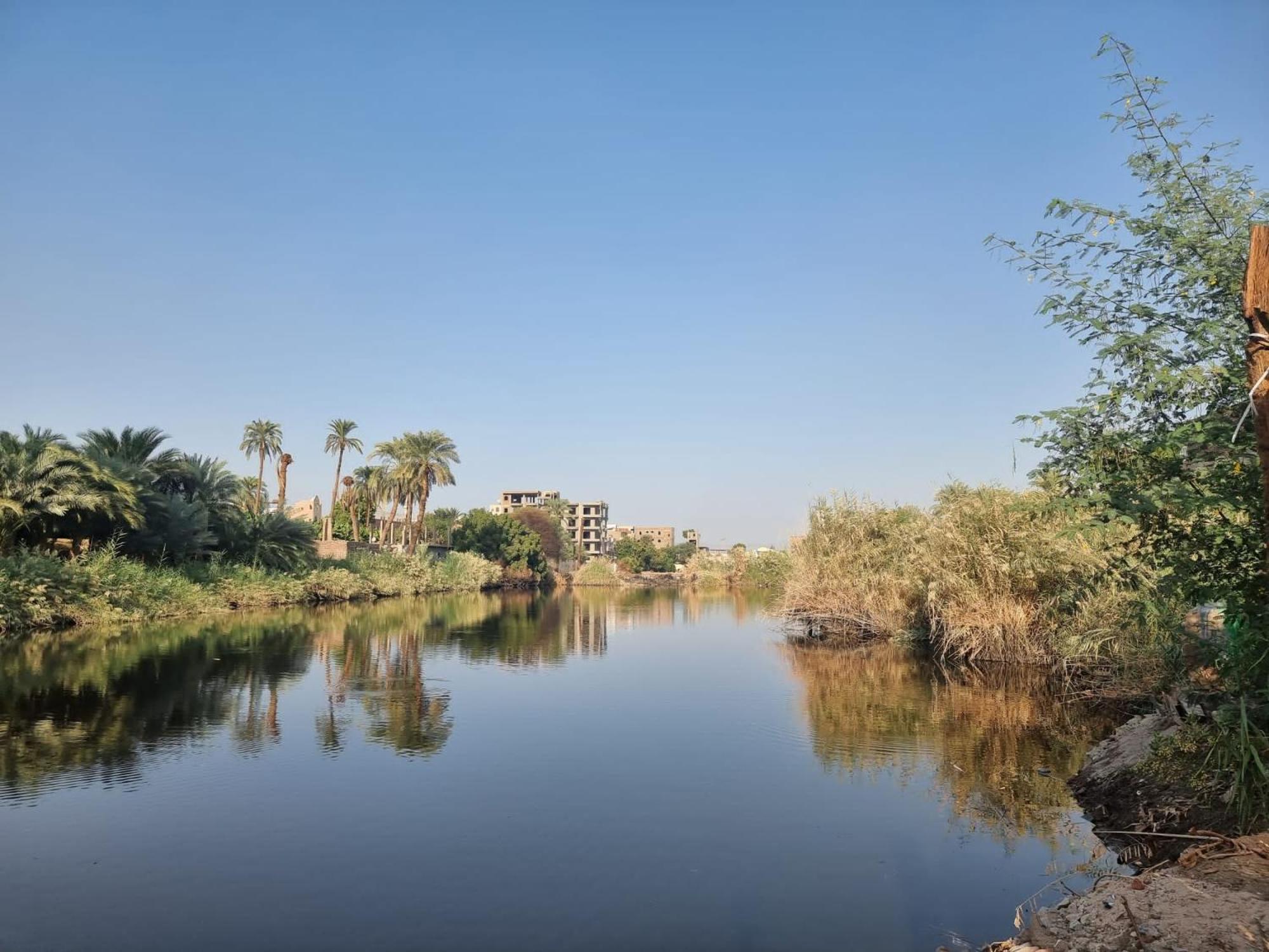 Luxor Old Nile Hotel חדר תמונה